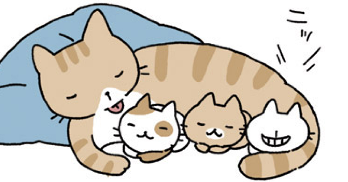 1話